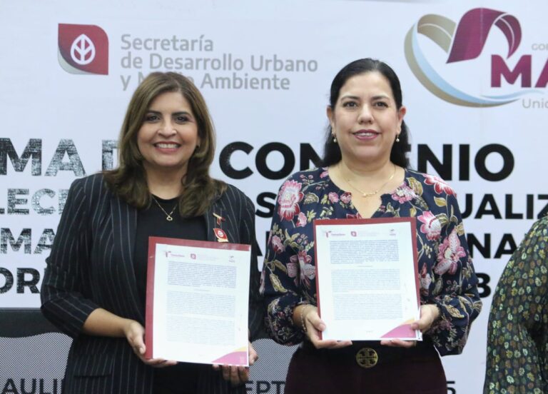 WhatsApp Image 2025-09-06 at 14.41.53