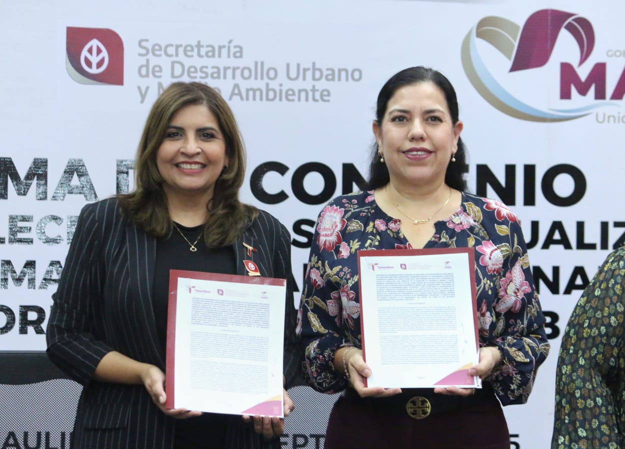 WhatsApp Image 2025-09-06 at 14.41.53